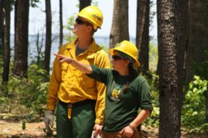 fire responders in the forest